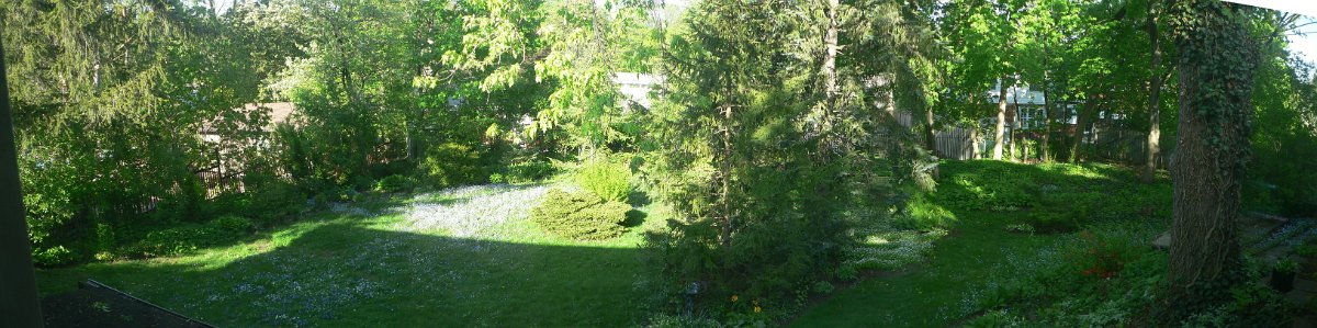 P1310807-11_merge