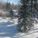 Backyard_stretch-Winter