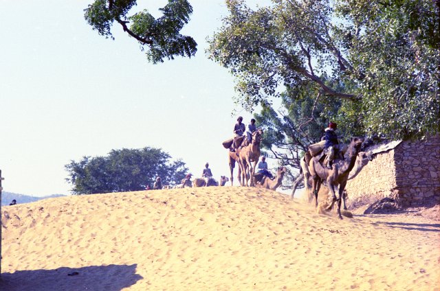 Original image