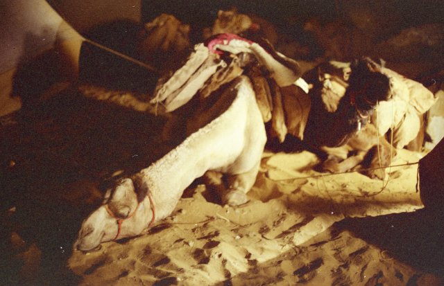 Original image