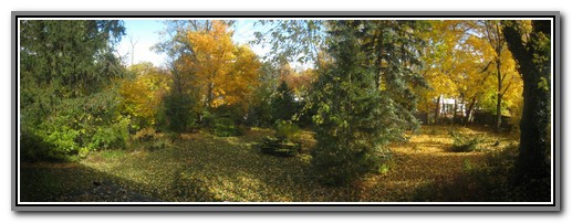 Backyard-autumn-IMG7457-58-59_merge-paint1-2560-480.jpg