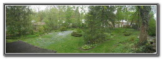 Backyard_Spring-2560-480.jpg